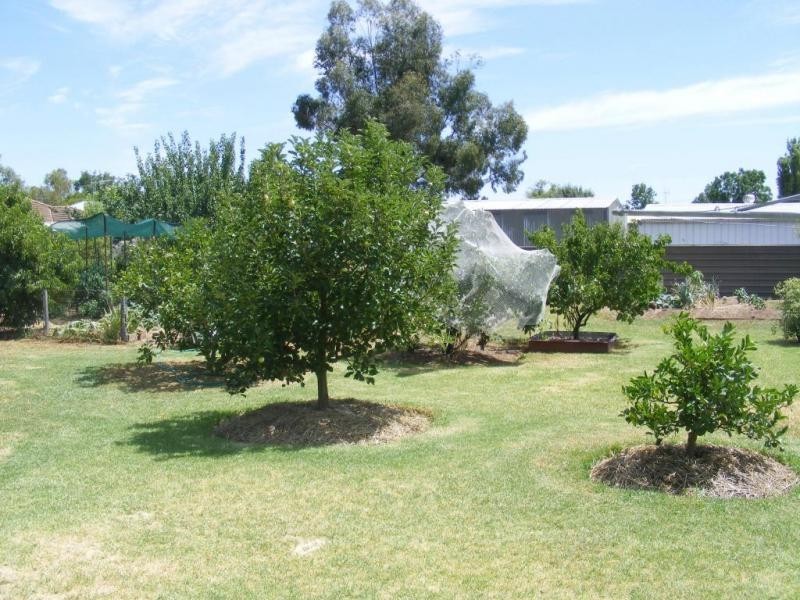 73 Purdey Street, Tongala VIC 3621