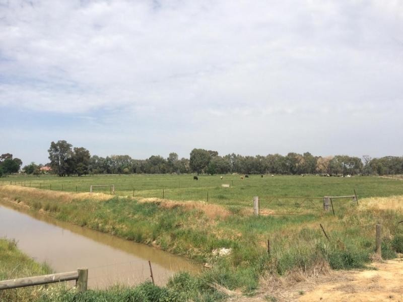 9 Palmer Road, Kyabram VIC 3620