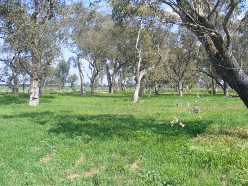 857 Watson Road, Timmering VIC 3561