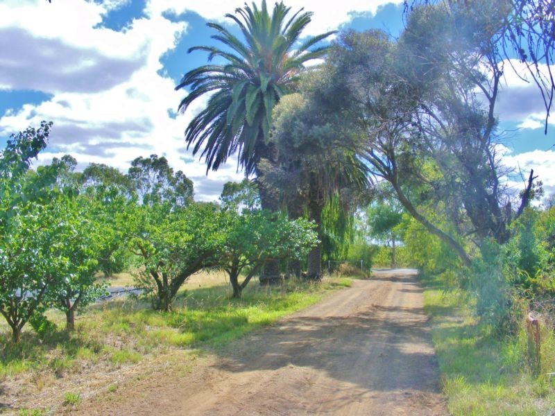 1050 Byrneside – Kyabram Road, Merrigum VIC 3618
