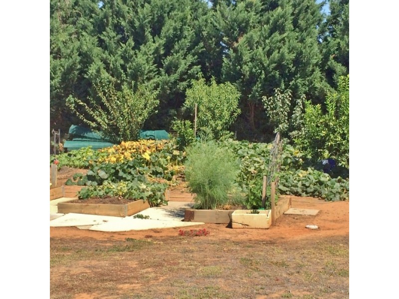 213 Bolitho Road, Kyabram VIC 3620