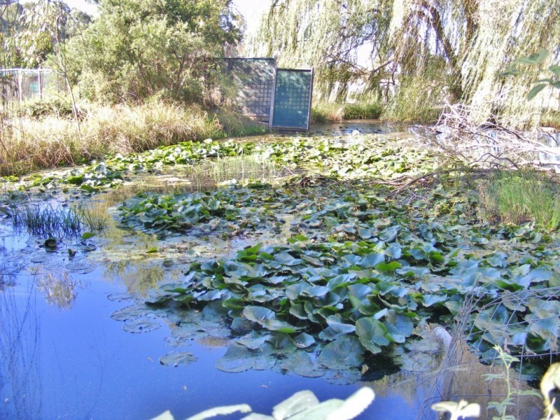 2235 Lilford Road, Kyabram VIC 3620