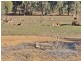 27 Beech Street, Kyabram VIC 3620