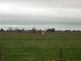 Hadfield Road, Stanhope VIC 3623