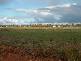 Majors Lane, Girgarre VIC 3624