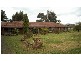 Finlay Road, Tongala VIC 3621