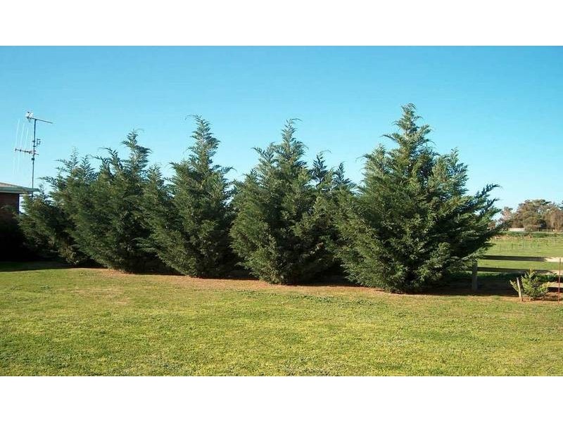 1896 Wilson Road, Tongala VIC 3621