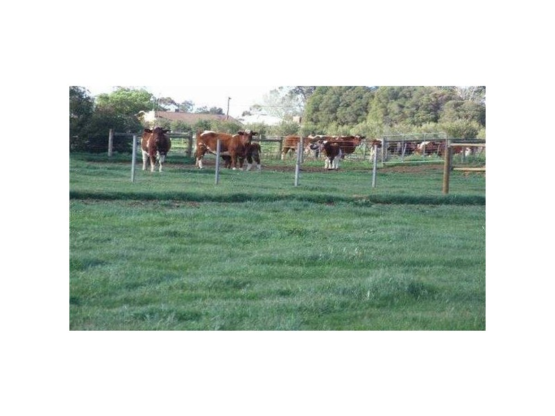 3579 Midland Highway, Stanhope VIC 3623