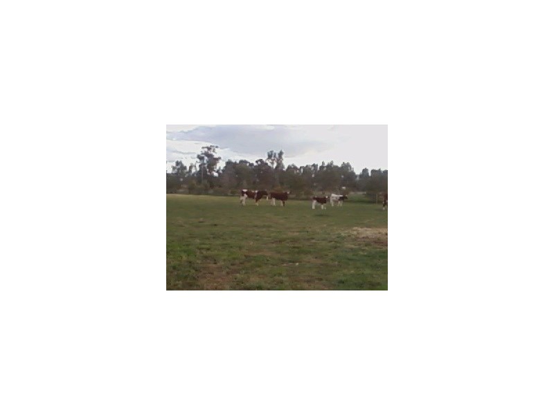 3579 Midland Highway, Stanhope VIC 3623