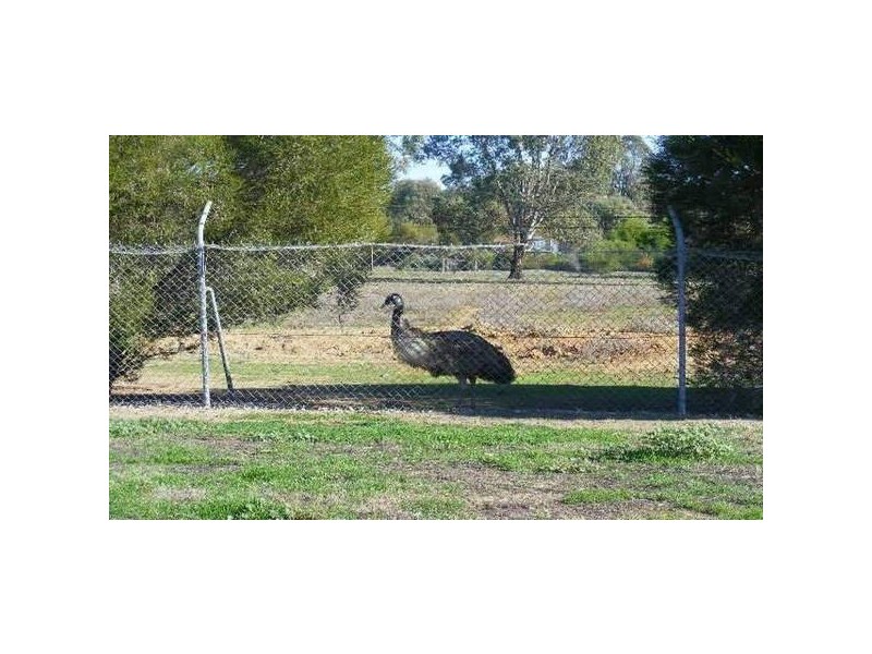 11 Beech Street, Kyabram VIC 3620