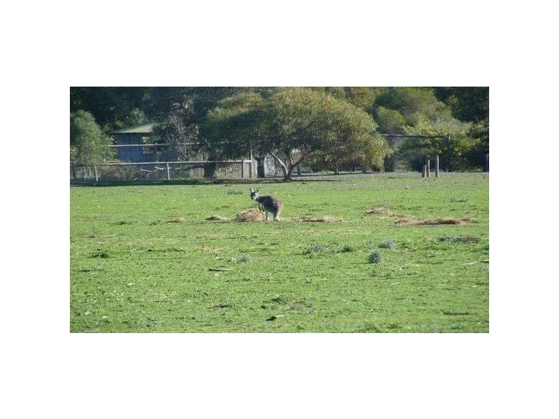 11 Beech Street, Kyabram VIC 3620