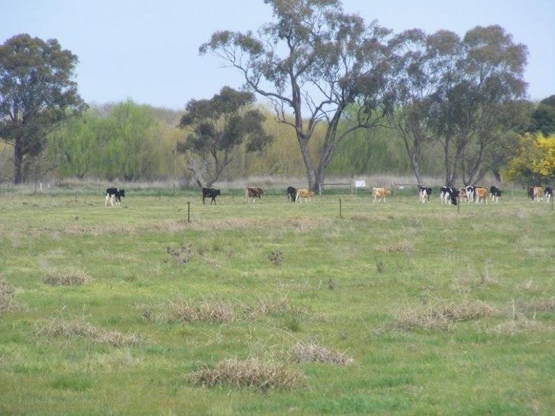 847 Matheson Road, Kyabram VIC 3620