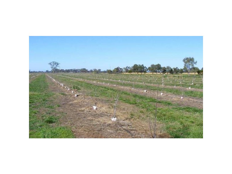 288 Dunbars Road, Kyabram VIC 3620