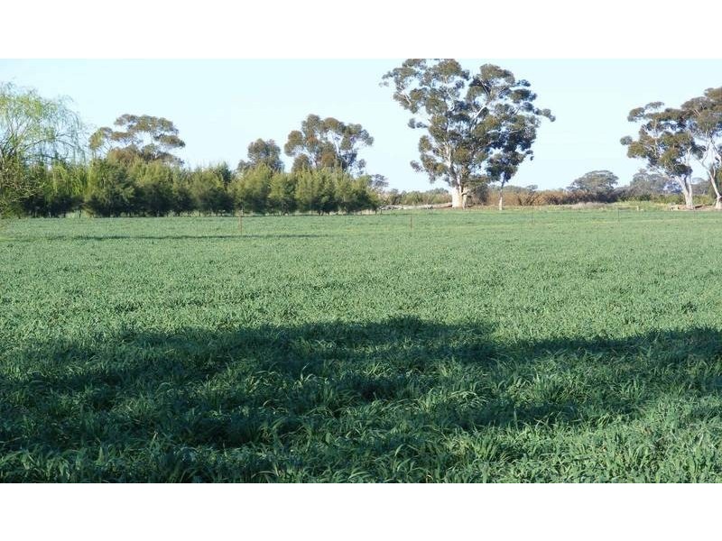62 John Allan Road, Kyabram VIC 3620