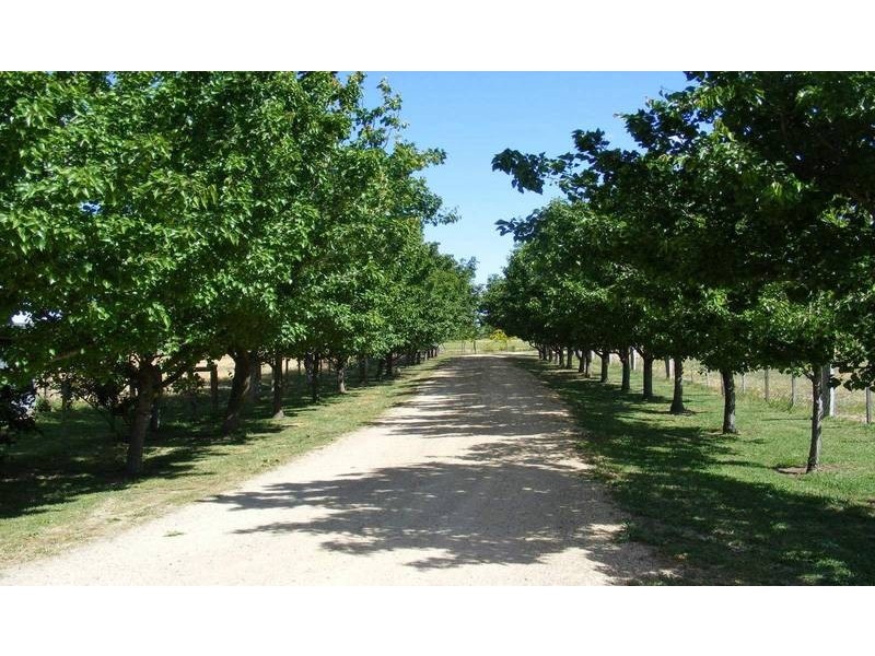 124 Dunstone Road, Kyabram VIC 3620