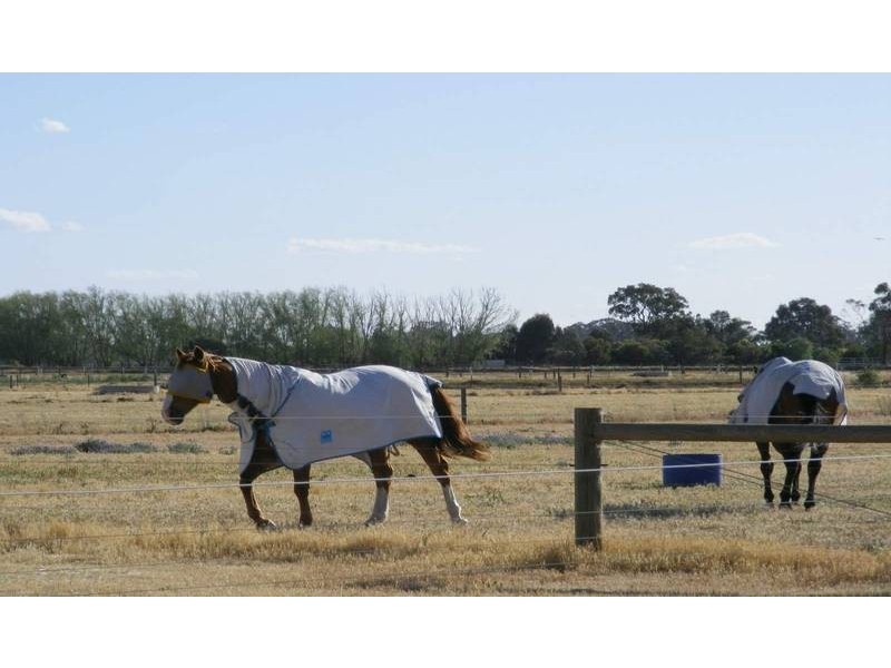89 Everard Road, Kyabram VIC 3620
