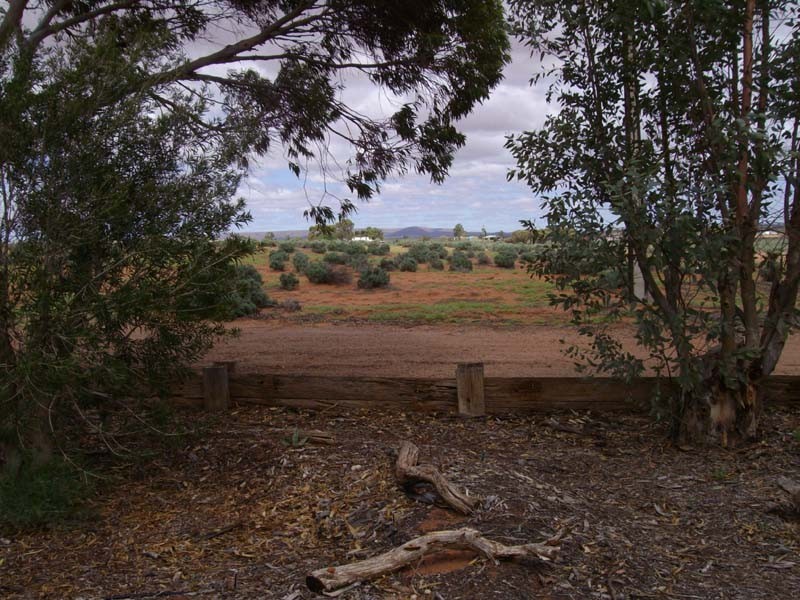 Lot 99 Tamblyn Road, Port Augusta West SA 5700