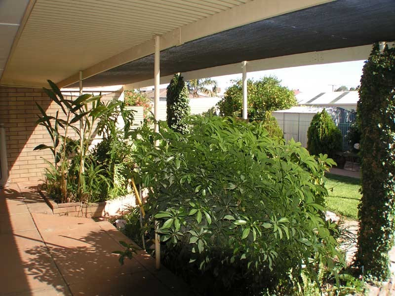 3 Andrew Avenue, Stirling North SA 5710