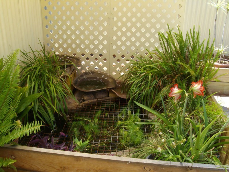 2 Wickstein Close, Port Augusta West SA 5700