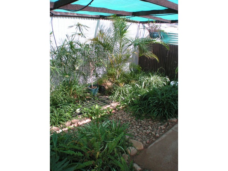 29 Harris Street, Stirling North SA 5710