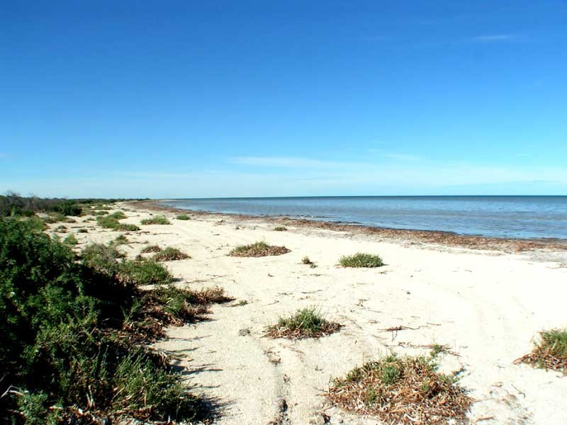 Sect 199 Hundred of Baroota, Miranda SA 5700