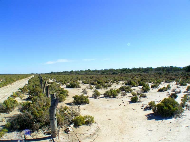 Sect 199 Hundred of Baroota, Miranda SA 5700