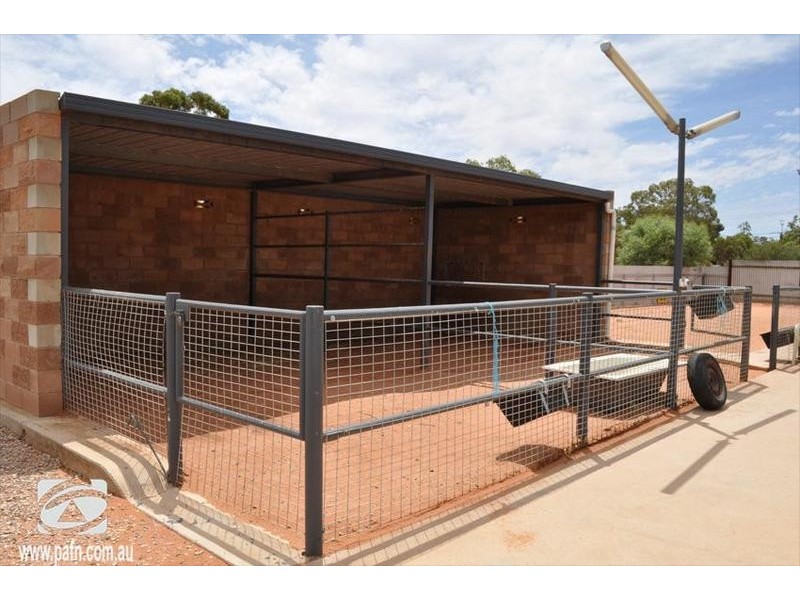 12 Kanyaka Avenue, Stirling North SA 5710