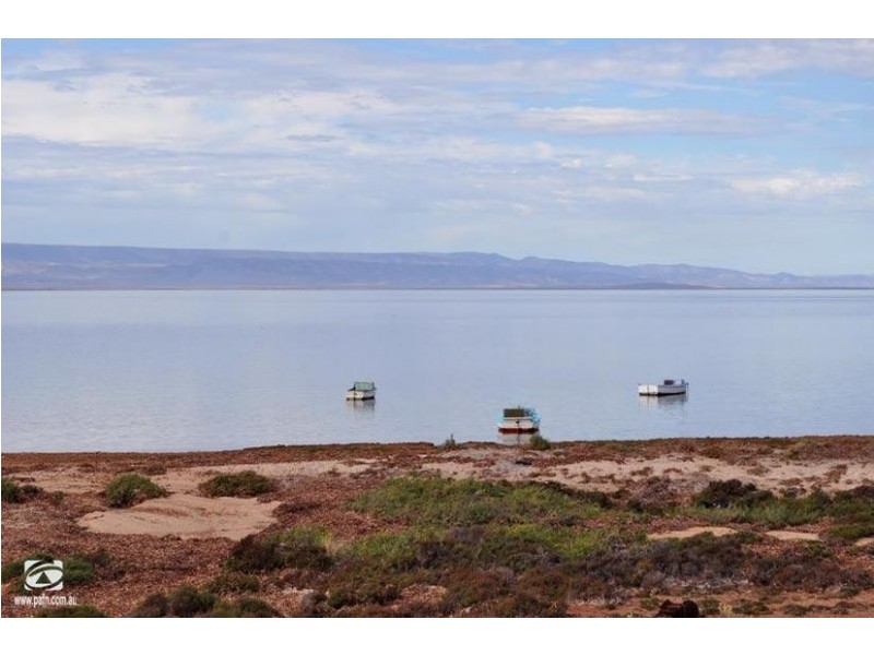 11 Ash Court – Blanche Harbour, Port Augusta West SA 5700