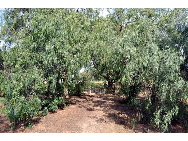 7 Great Western Plains Road, Stirling North SA 5710