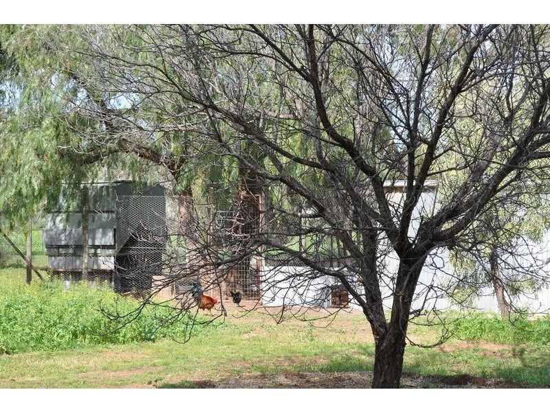 7 Great Western Plains Road, Stirling North SA 5710