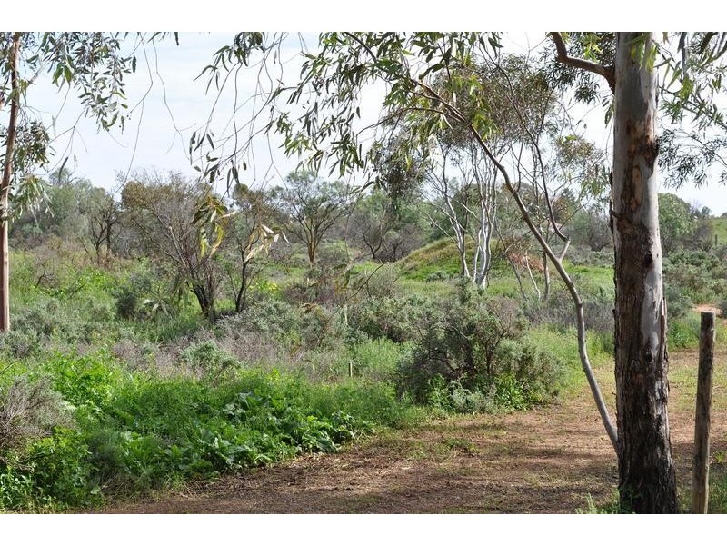7 Great Western Plains Road, Stirling North SA 5710