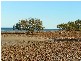 4 Melville Court, Port Augusta West SA 5700