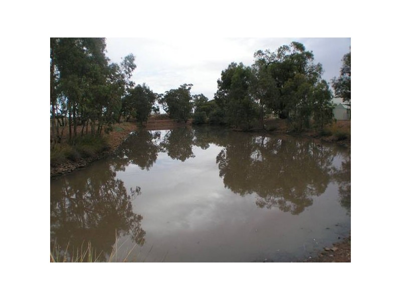 389 Hundred of Willochra, Wilmington SA 5485