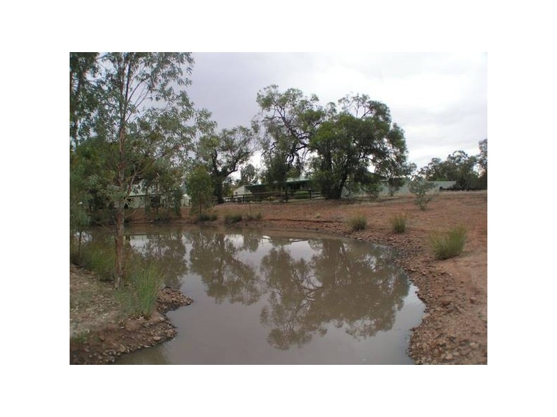 389 Hundred of Willochra, Wilmington SA 5485