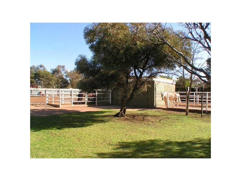 35 Park Terrace, Quorn SA 5433