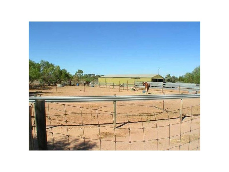 1 Michael Avenue, Stirling North SA 5710