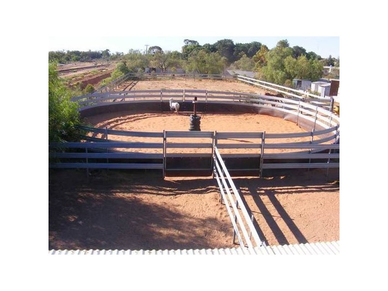 1 Michael Avenue, Stirling North SA 5710