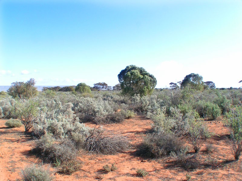 Lot 680,  Hundred of Davenport, Stirling North SA 5710