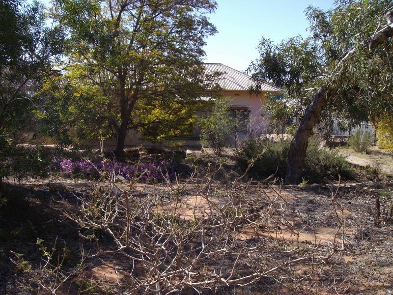 60 Mildred Street, Port Augusta West SA 5700