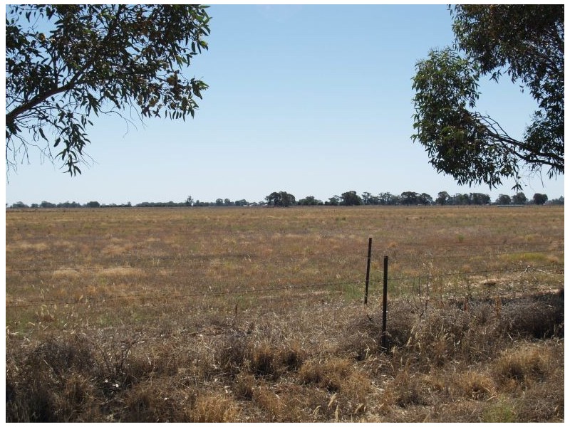 Lot 3 Shinnicks Road, Numurkah VIC 3636