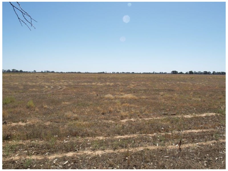 Lot 3 Shinnicks Road, Numurkah VIC 3636