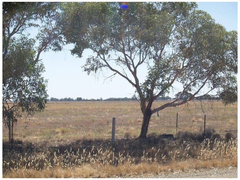 Lot 3 Shinnicks Road, Numurkah VIC 3636