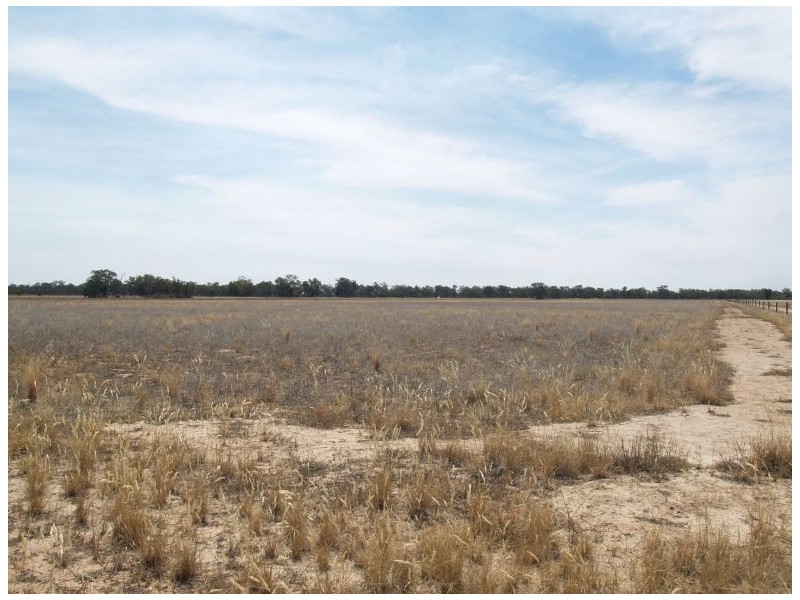 Lot 2 Katamatite-Nathalia Road, Numurkah VIC 3636