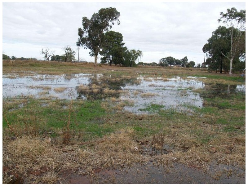 803 Centre Road, Waaia VIC 3637