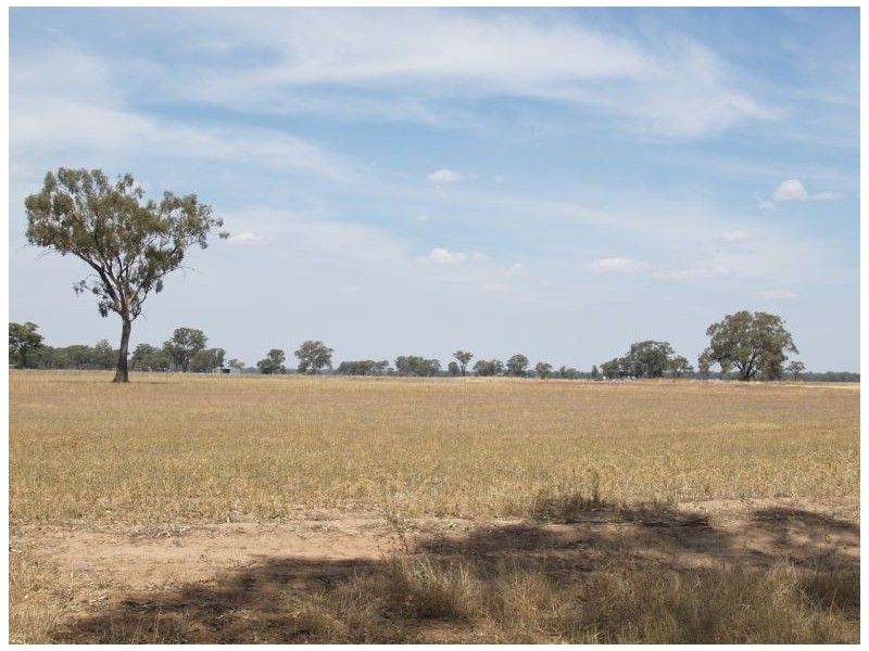 Lot 1 Katamatite-Nathalia Road, Numurkah VIC 3636