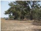 Lot 1 Katamatite-Nathalia Road, Numurkah VIC 3636