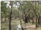 Lot 1 Katamatite-Nathalia Road, Numurkah VIC 3636