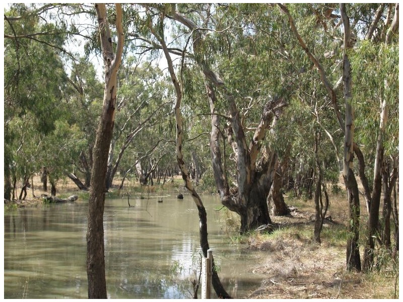 Lot 1 Katamatite-Nathalia Road, Numurkah VIC 3636