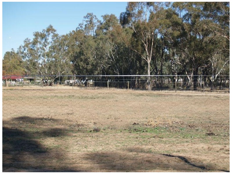 29 Walter Street, Wunghnu VIC 3635