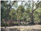 29 Walter Street, Wunghnu VIC 3635